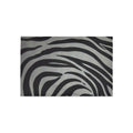 Rug 5'x3'3''