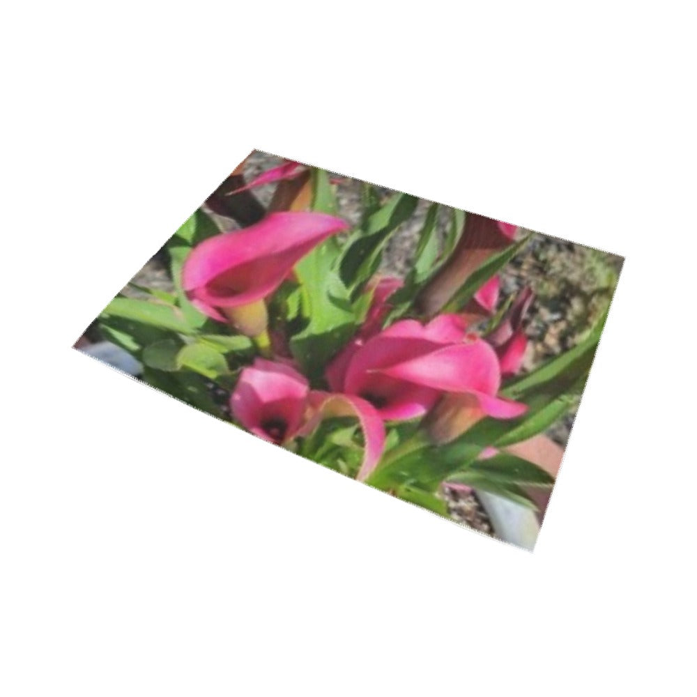 Rug Area Rug7'x5'