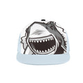 Hat Snapback Hat